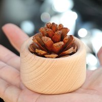 Wooden Nut Diffuser for Essential Oils - Car Air Freshener Aromatherapy Decor, Natural Wood Scent Diffuser Desktop Ornament