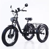 20-24 inch snow land general pedal electric variable speed tricycle, light moped