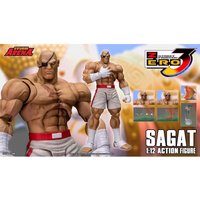 Shipping in February Original Storm Toys ST ARENA3 1/12 ARENA Sagat Anime Collection Figures Model Desktop Decoration Collection