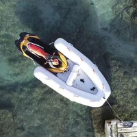 Newly Designed Powered Inflatable Jet Ski Tender Innovative Type Inflatable Boat