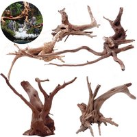 Tree Trunk Micro Landscape Reptile Cylinder Fish Tank Ornament Cuckoo Roots Aquarium Decoration Natural Driftwood Dead-wood