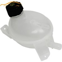 217104354R Engine Cooling Water Tank Coolant Expansion Tank Fit for Renault 217107259R 217104354R