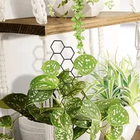 Metal Honeycomb Plant Trellis 5/8Pc Set Hexagon Climbing Stake for Indoor Home Balcony Flower Support Rack - Garden Accessory