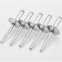 30Pcs Large Flange Blind Rivets, Aluminum Pop Rivets Assortment Kit Blind Rivet, Flange Diameter 5/8" (16 mm)