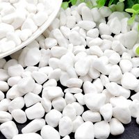 500g/set Decorative White Pebble Stones For Aquarium Natural Polished River Rocks For Fish Tanks Potted Plants Landscaping