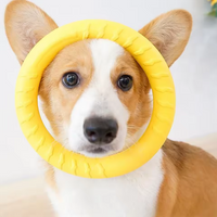 Dog Toy Bite Resistant Circular Frisbee Pet Toy Outdoor Dog Training Rope Toy Ball Grinding Teeth Pet Products Interactive Toy