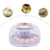 Egg Incubators for Hatching eggs 12-Clear Egg Chicken Hatcher Automatic Digital Incubator with Temperature and Humidity Control