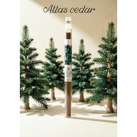 Natural Atlantic Cedar Incense Sticks 10g Pure Sandalwood Aroma Home Meditation Office Long Lasting Incense For Relaxation Purif