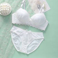 Luxury Bra Set Hot Sale 1/2 Cup New Brand Sexy Intimates Push Up Girls Underwear Floral Embroidery Lace Women Bra and Panty