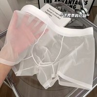 Summer ice silk men's underwear cool and breathable boys boxer shorts ultra-thin non-marking mask underpants