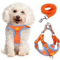 Pet Harness Vest Walking Lead For Puppy Dogs Collar Adjustable Reflective Breathable Harness for Dogs Puppy and Cats