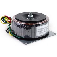 300W Toroidal Audio Transformer for Preamplifer Amplifer