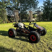 2025 New 1000W 48V 20Ah Electric Go Karts Buggy Double Engine Disc Brake and Shaft Drive Hot Sale for Kids and Adults