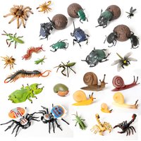 Realistic Insect Animals Dung Beetle,Maratus Volans,Scorpion,Mantis Snail Model Figures Miniature Education Collection Toys