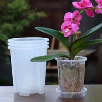 Transparent Orchid Plant Pot with Drainage Holes Phalaenopsis Flower Pot with Air Column Prevent Root Rot for Plants Seedlings