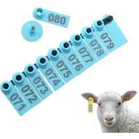 Étiquettes d'oreille pour porcs, bétail, mouton, chèvre, marqueur, boucles d'oreilles, chiffres imprimés au Laser, panneau d'information, carte d'identification d'animaux de ferme, 100 pièces