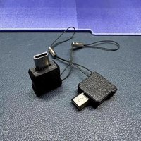 Conversion Cable For Gbm/ndsl To Type C Charging Cable Plug And Play With Lanyard Data Transmission And Charging 2 In 1