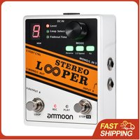 24Bit Stereo Looper Pedal 10x 10Min Loops True Stereo Input Reverse Half Speed FX for Guitar Live Performance Practice Recording