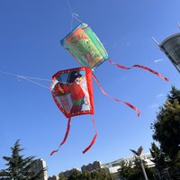 Outdoor kites Pocket kite flying for adults kites factory ripstop fabric windsurfing kite snake breeze fly kite cheap nylon kite