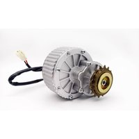 AliExpress NONE MY1018 250W-450W 24V-48V Brushed Gear Motor with 16T Left Flywheel for Electric Bike/Tricycle/Scooter Conversion Kit