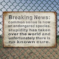 2D Flat Vintage Aluminum Decorative Sign - Rust-Proof Fade-Resistant "Breaking News: Common Sense" Plaque,