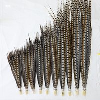 10-110 cm 10/50Pcs/lot Natural Lady Amherst Pheasant Center Tail Feathers for Crafts Decorative Diy Stage Performance Carnaval