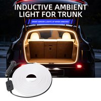 For Tesla Model 3/Y Trunk lighting 4.3M Ambient light Interior Decoration LED with cigarette Wireless Tailgate light strip 12V