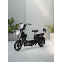 AliExpress NONE High Quality Electric Bicycle with Rear Hub Motor Factory Wholesale 48V 3 Speed Steel Frame Digital Sensor Smart Type