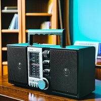 Portable Retro Double Horn Radio Boombox Wireless Bluetooth FM/AM/SW Multi-band Stereo Radio Support USB TF Card for the Elderly