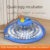 Fully Automatic Eggs Incubator Home Chicken Rutin Poultry Breeding Incubator Bird Egg LED Lamp Temperature Control Hatcher