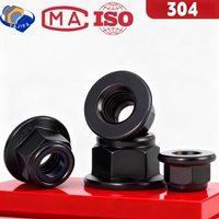 DIN6926 304 Stainless Steel Black Nylon Insert Hex Flange Lock Nut M4 M5 M6 M8 M10 M12 Smooth Base Self-locking Nut Blackened