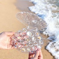 Shell Holder Clear Multi-Compartment Storage Box Magnetic Jewelry Display Container Decorative Keepsake Organizer for Home Decor