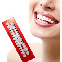 28 Teeth Dental Study Model Resin Denture Teeth for Education Props Bleaching Research Comparator Mirror & Technician Practice