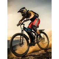 AliExpress DUOTTS C29 Adult Electric -bike 750W City Electric Bicycle 48V 15/30Ah Battery 29 Inch Tire E-Mountain bike