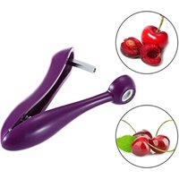 Cherry Fruit Olive Kernel Pit Removal Tool Seed Gadget Seed Tool Fruit and Vegetable Tool Cherry Pit Remover Cherry