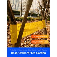 Double-sided Insect Proof Tape Yellow Strong Glue Outdoor Insect Trap for Gardens Prevents Insects Moths From Climbing Trees