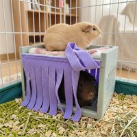 Guinea Pig Hideout House With Fringe Curtain And Loft Design For Small Pets