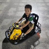 Cool K2/K5/K9 Electric Crazy Drift go Kart Car Electric Crazy Kart Ride on Car for Big Kids and Adult