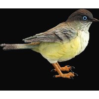 Miniature Birds Decor Handpainted for Children Simulation Bird Figurines for Wedding Festival Tabletop Home Decor Bookshelf