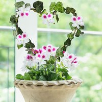 1pc/3pcs - Heart-Shaped Garden Plant Support Stake-Circular Vine Climbing Frame for Flowers and Plants-Garden Decoration