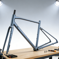 CONTREX 700C Gravel Bike Frameset 6061 Aluminum Thru-Axle Disc Brake Semi-Internal Cable 1x12/2x12 for Gravel/Road/Adventure