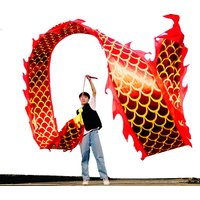 6 Meters Dragon Poi with Ball Set, 19.6 FT Outdoor Ribbon Streamer with Weighted Ball and Swing Rope Combo for Beginners and Pro
