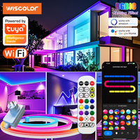 Wiscolor WIFI RGBIC LED Neon Strip Lights Waterproof Voice Control Work With TUYA Smart Life For DIY Room Home Decoration