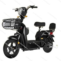 48V Electric Vehicle, Adult Two Wheeled Electric Bicycle, High-power Leisure Scooter