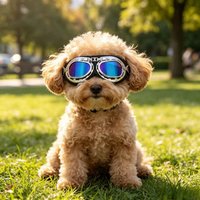 New Design Wind Resistant Dog Cycling Sunglasses UV Protection Pet Goggles for Outdoor Driving