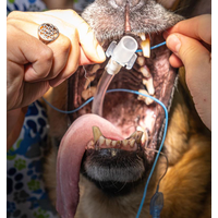8PCS/17PCS Haustier Tiere ET Rohre Einweg Haustier Anästhesie Endotracheal Rohr mit Manschette für Chirurgische Intubation medizinische Verbrauchs