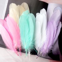 15-20cm Hard Stick Goose Feathers Natural Swan Pluma Handicraft Accessories Colorful Dream Catcher Feather Decoration