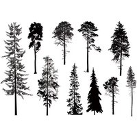 Trees Transparent Clear Stamps for DIY Scrapbooking/Card Making Fun Decoration Supplies A0074