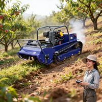 Customized All-Terrain Grass Cutting Crushing Flail Lawn Mower Remote Control Agricultural Forestry Machine 800-1200mm