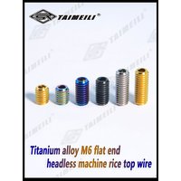 AliExpress TAIMEILI Titanium Alloy Flat End Set Screws M6x8/12/16mm Bicycle Mod Repair Fasteners 2/4/6/8/10Pcs
